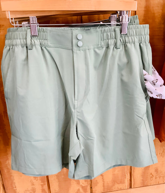 Sage Green Mens Performance Shorts